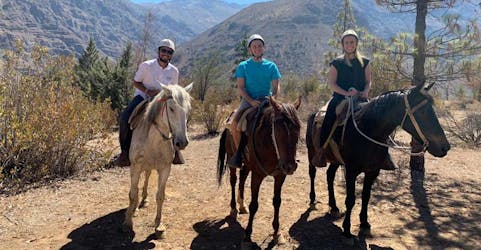 Maipo Canyon horseback ride, wine tour and tasting